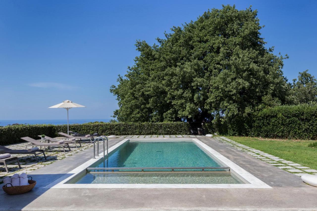 Lux Villa Mia With Heated Pool, 2Km To Beach & Childrens Area! Mikro Metochi Dış mekan fotoğraf